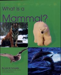 What Is a Mammal?