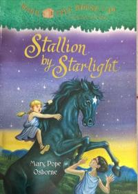 Stallion by Starlight