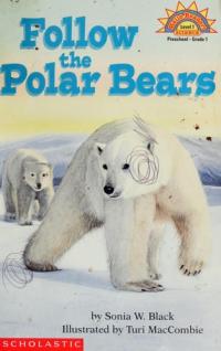 Follow the Polar Bears