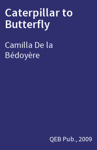 Caterpillar to Butterfly