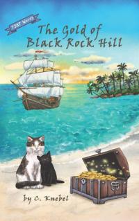 The Gold of Black Rock Hill Decodable Chapter Books