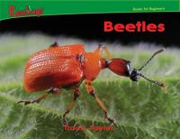 Beetles