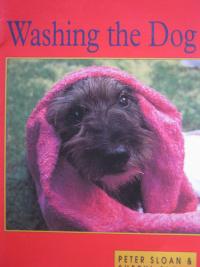 Washing the Dog