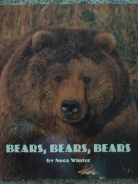 Where's My Teddy? Bears, Bears, Bears