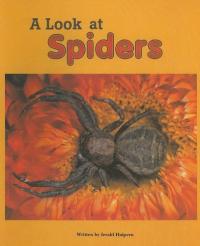 A Look at Spiders