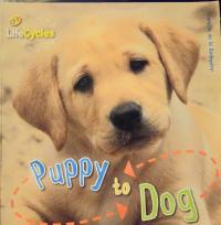 Puppy to Dog