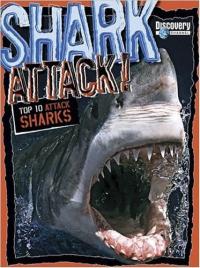 Shark Attack Top 10 Attack Sharks