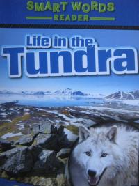 Life in the Tundra