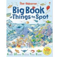The Usborne Big Book of Things to Spot