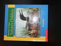 Loons and Black Bears