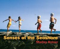 Senses at the Seashore