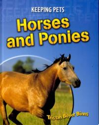 Horses and Ponies