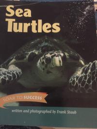 Sea Turtles