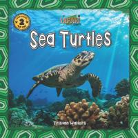 Sea Turtles