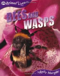 Bees and Wasps, Animal Lives, Books Are Fun Edition