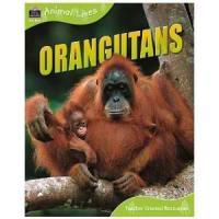 Orang-Utans, Animal Lives, Books Are Fun Edition