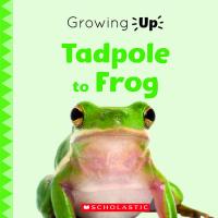 Tadpole to Frog
