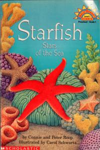 Starfish Stars of the Sea