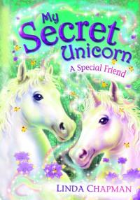 My Secret Unicorn A Special Friend