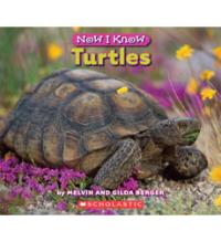 Turtles