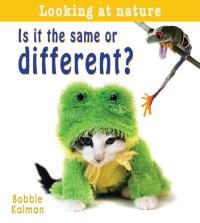 Is It the Same Or Different?