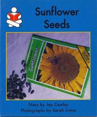 Sunflower Seeds