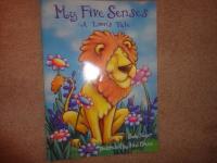 My Five Senses A Lion's Tale