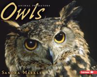 Owls