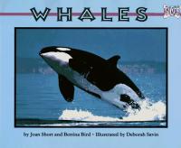 Whales