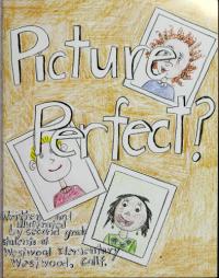Picture Perfect?