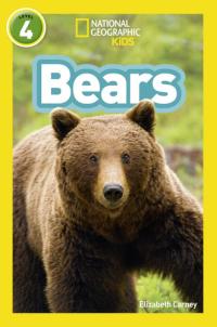 Bears Level 4