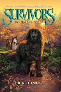 Survivors #3: Darkness Falls
