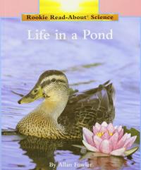 Life in a Pond