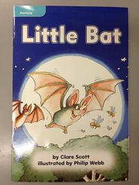 Little Bat