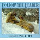 Follow the Leader
