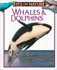 Whales and Dolphins