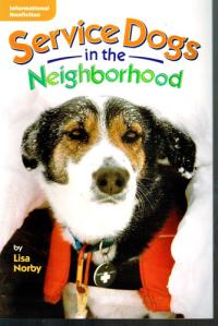 Service Dogs in the Neighborhood