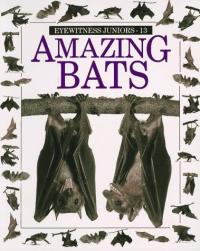 Amazing Bats