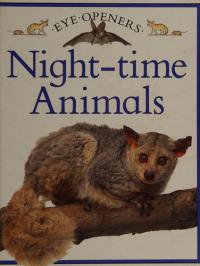 Night-time Animals