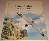 What Makes the Wind?