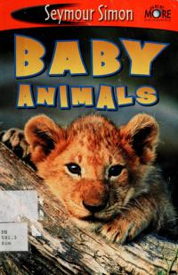Baby Animals