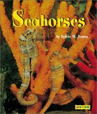Seahorses