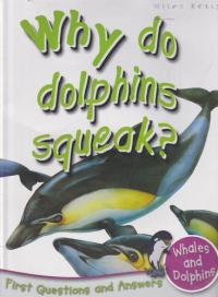 Why Do Dolphins Squeak?.