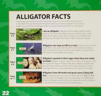 I Am an Alligator