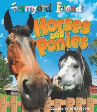Horses and Ponies