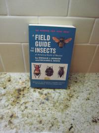 Insects