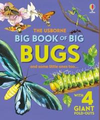 Big Book of Big Bugs