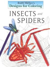 Insects and Spiders