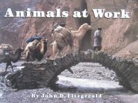 Animals at Work/SSN/Q
