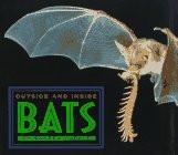Outside And Inside Bats